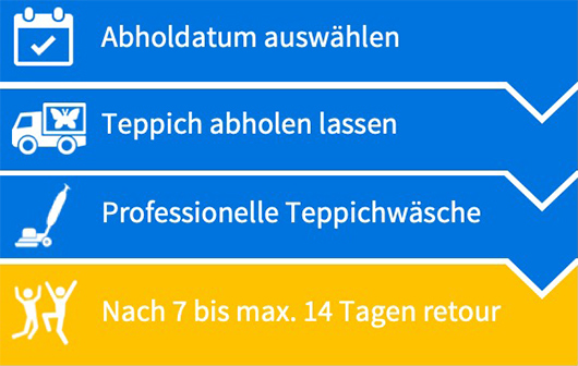 Prozess_der_Teppichreinigung_Schweiz_Genf